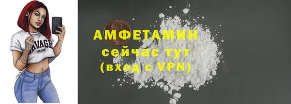 шишки Балахна