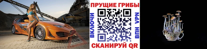Галлюциногенные грибы GOLDEN TEACHER  Мглин 